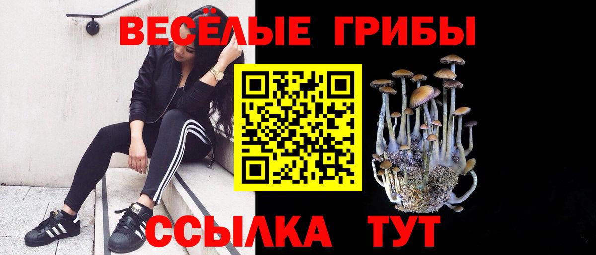 где купить наркотик  Псилоцибиновые грибы Magic Shrooms  Вход с VPN  Учалы 